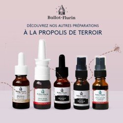 Biologisches französisches schwarzes Propolis-Spray - BALLOT-FLURIN