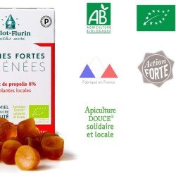 Strong Gums Pyrenees Special Throat - Propolis and Organic Honey - BALLOT-FLURIN