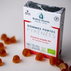 Strong Gums Pyrenees Special Throat - Propolis and Organic Honey - BALLOT-FLURIN