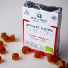 Gomme Forti Pirenei Speciale Gola - Propoli e Miele Biologico - BALLOT-FLURIN